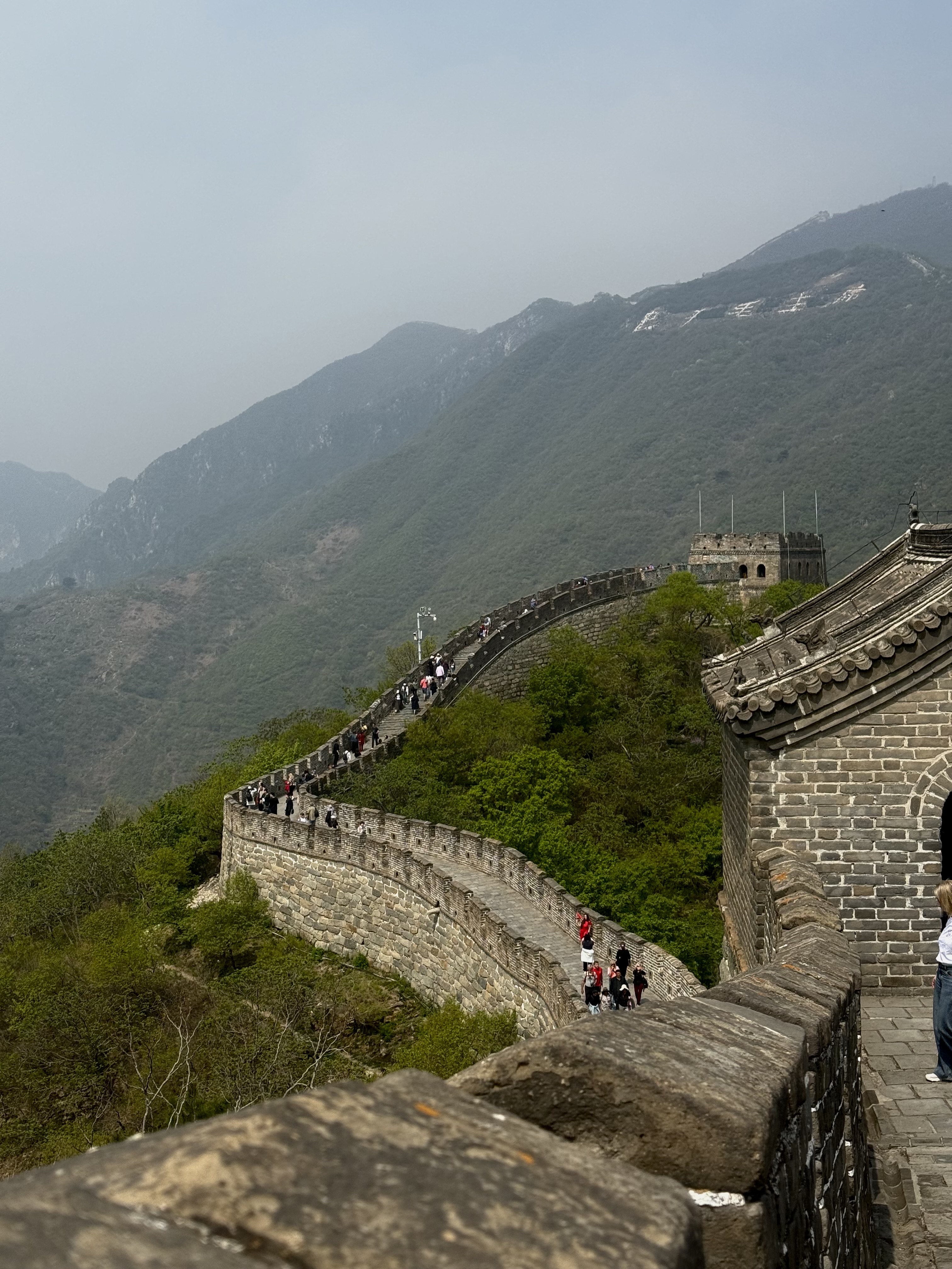 The Great Wall winding through green mountain slopes.